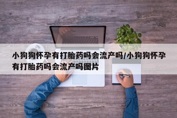 药流药使用小狗狗怀孕有打胎药吗会流产吗/小狗狗怀孕有打胎药吗会流产吗图片