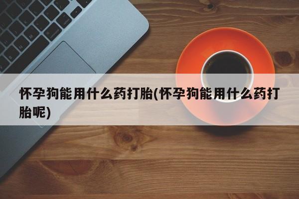 药流药使用怀孕狗能用什么药打胎(怀孕狗能用什么药打胎呢)