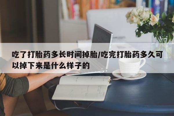 药流药使用吃了打胎药多长时间掉胎/吃完打胎药多久可以掉下来是什么样子的