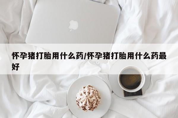 药流药使用怀孕猪打胎用什么药/怀孕猪打胎用什么药最好